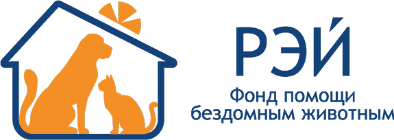 РЭЙ